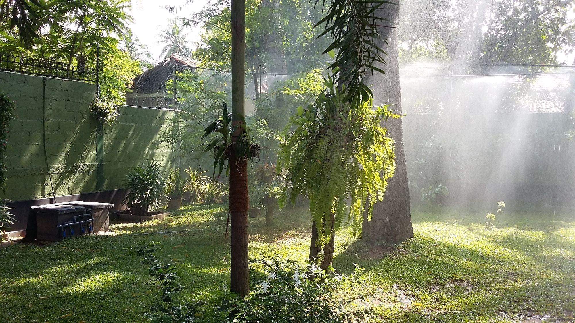 West Dene Bed and Breakfast Negombo Exteriör bild