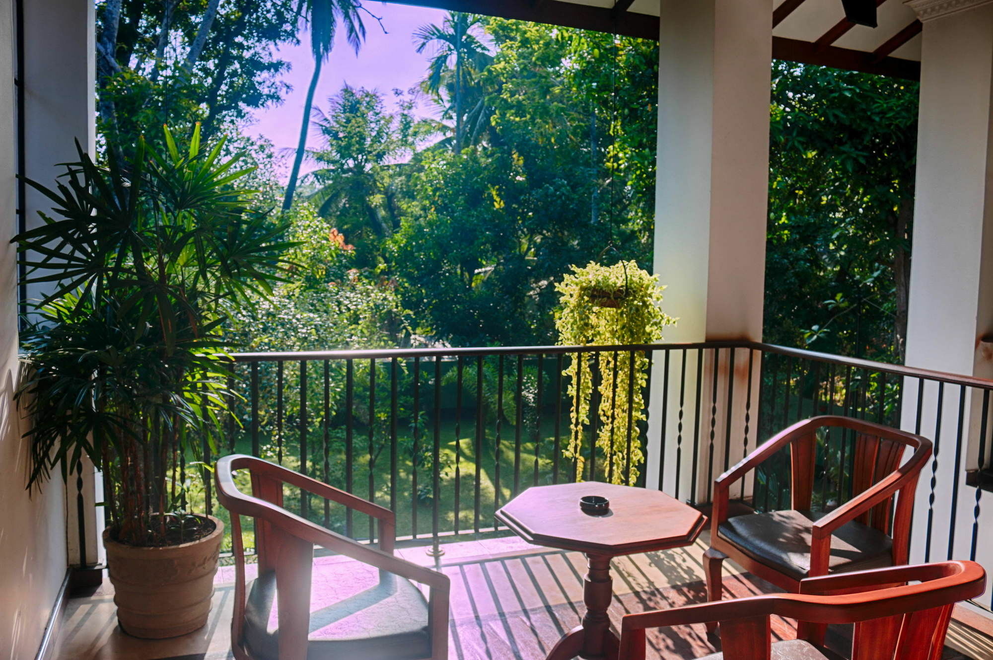 West Dene Bed and Breakfast Negombo Exteriör bild