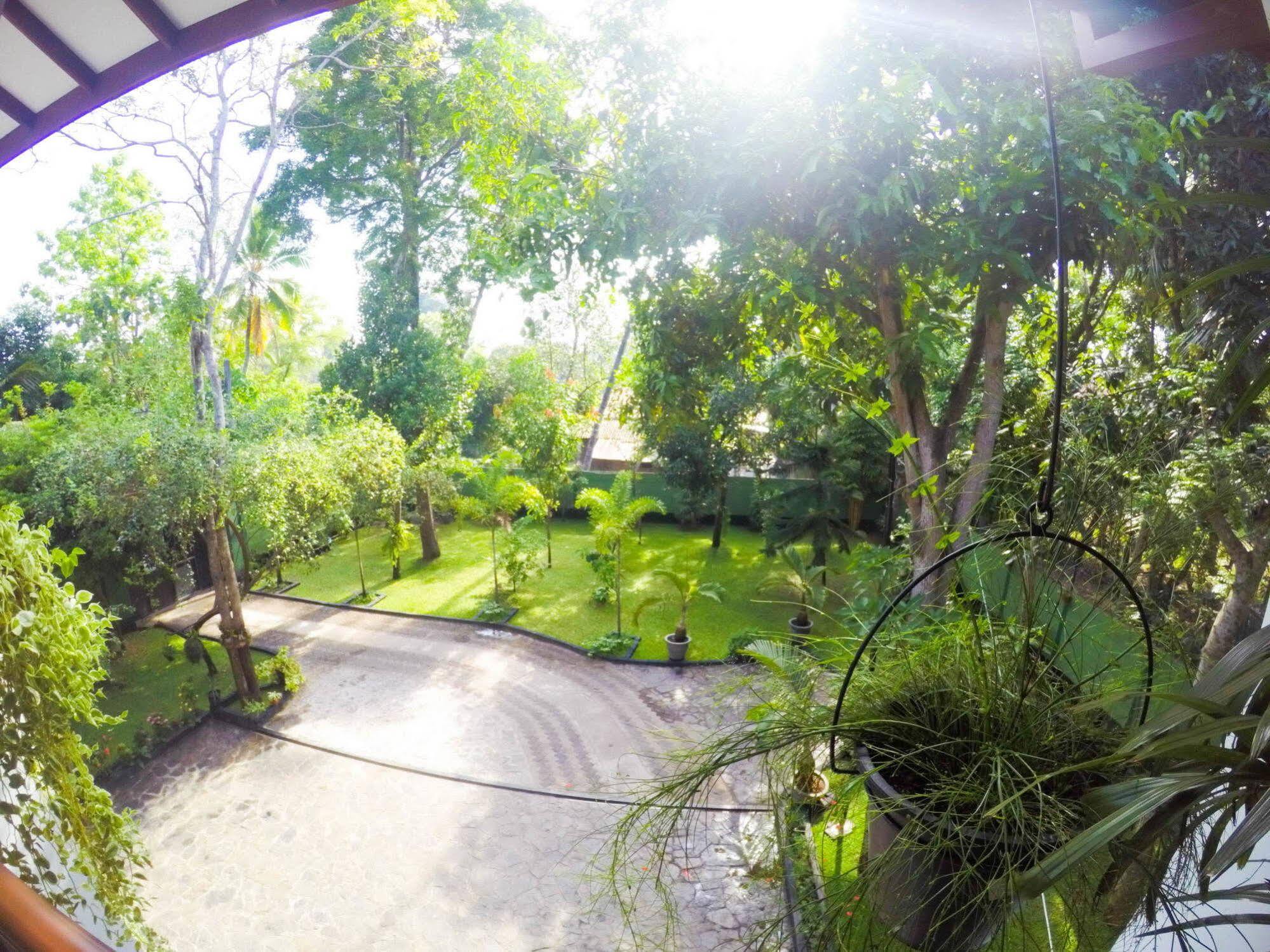 West Dene Bed and Breakfast Negombo Exteriör bild